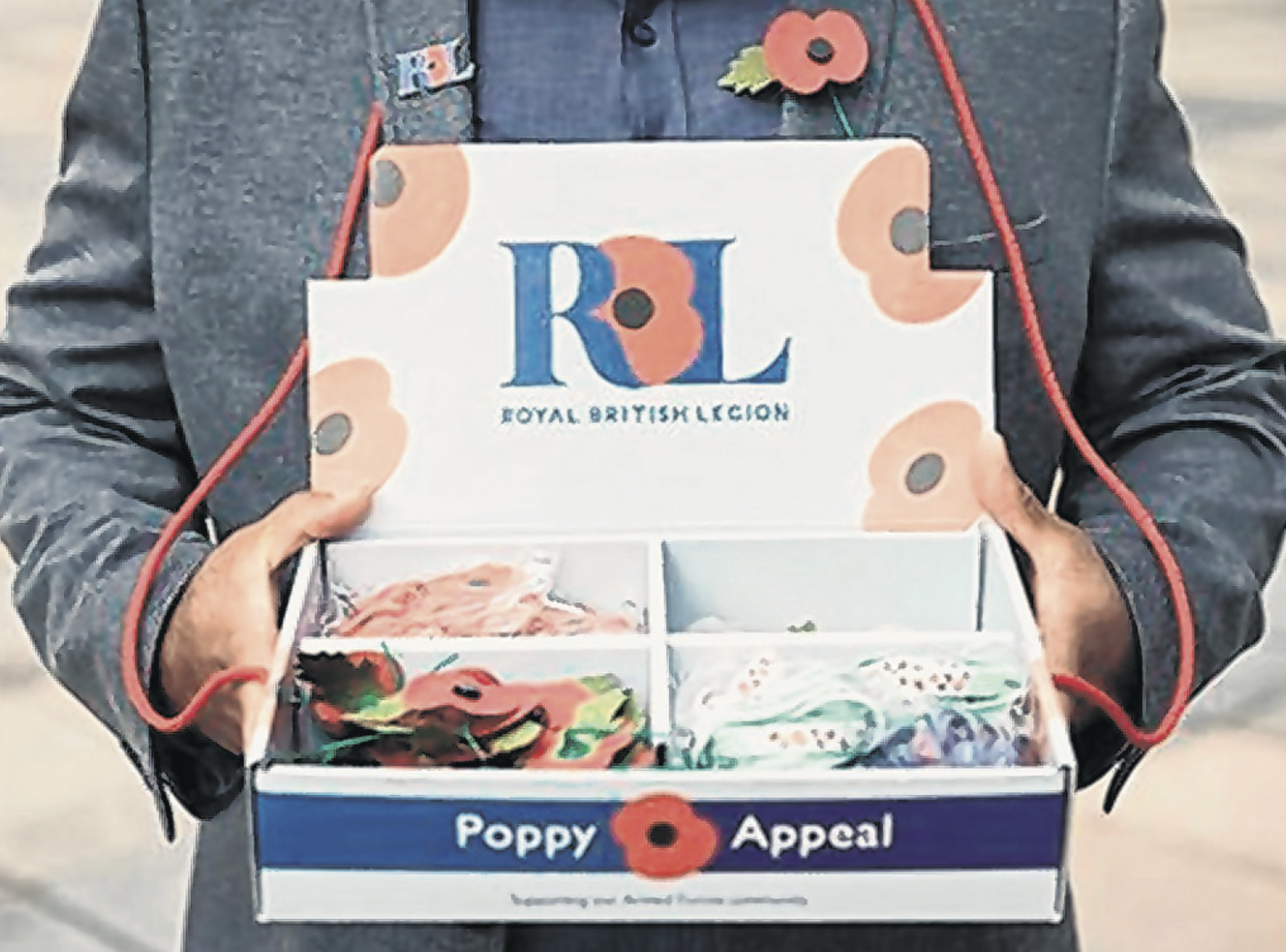 Volunteers Are Needed By Royal British Legion To Help Run Woking Poppy ...